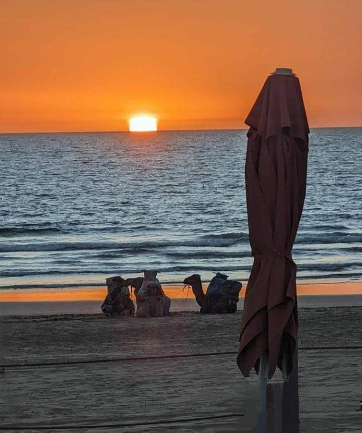Appartement Deluxe Avec Piscine Privee Agadir Eksteriør billede